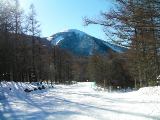 945　振り向くと蓼科山が！