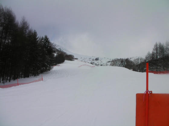 1144　新雪にも飽きてきた(本音は疲れてきた)のでクロスコースへ行きました。今年の設計はちょっと物足りない感じです