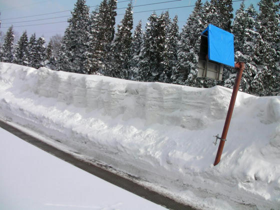 1435　道路の雪壁の高さ≒4m　積雪量も同じかな？