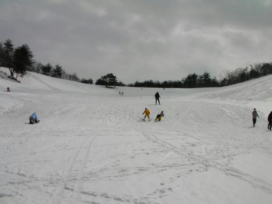 1213　ベルリンコース下部。ほとんど平らで雪質悪く滑りませんorz