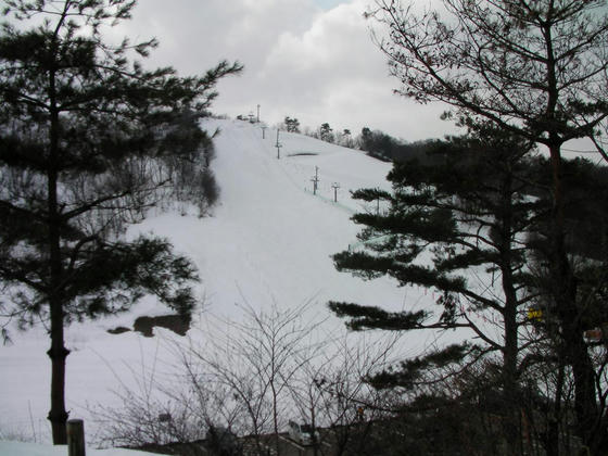 1337 レルヒの丘より白旗山コース