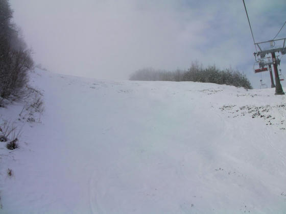 850　さつきパノラマコースの最終壁部は雪付が悪く(融雪が早く？)ブッシュが覗いてました