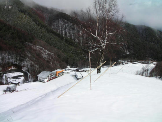 930　KABE上部。予想通り竹竿で閉鎖