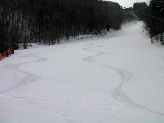 941　から松コース下部の滑走跡。左はKABEコースから滑り込んだもの。左は動画撮影でから松コースを滑ったもの