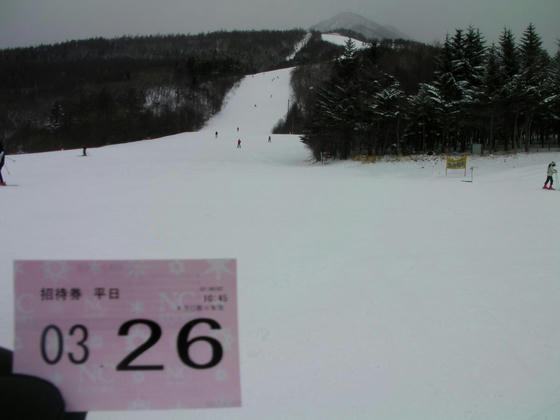 1052 何故か「平日」の印字が…