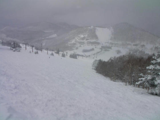 1108　モーグルバーン。この時間はまだ新雪らしき物が残っていてそれなりの浮遊感はありました