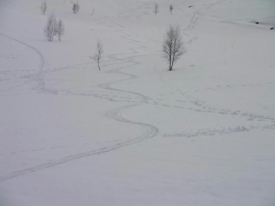 1412　クリーミーなザラメで滑り易い雪でした。思わずおかわりしたくなりましたが、疲れていたので諦めました