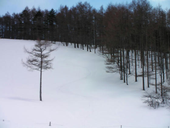 1059　良さそうに見えましたが、クラストしていて曲がり難い雪でした