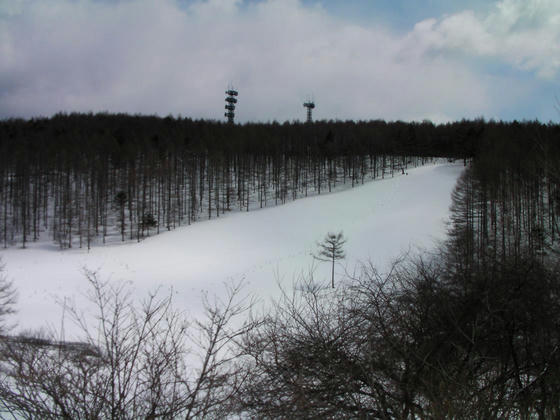 1101　林道まで上っての全景