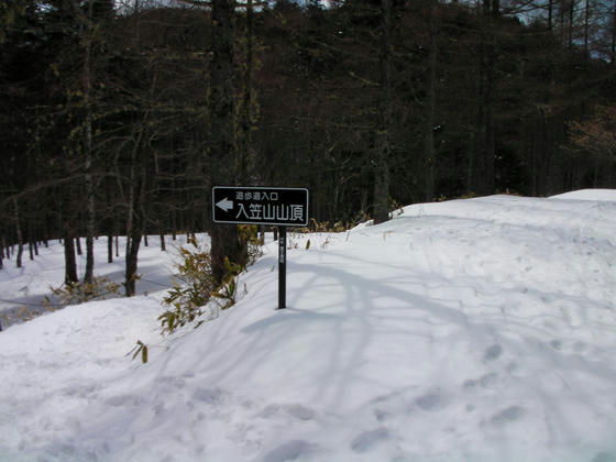 1102　山頂行きの看板通り行くと登山道でアップダウンがあるので、右側の林道を歩きます。緩やかな登りだけです