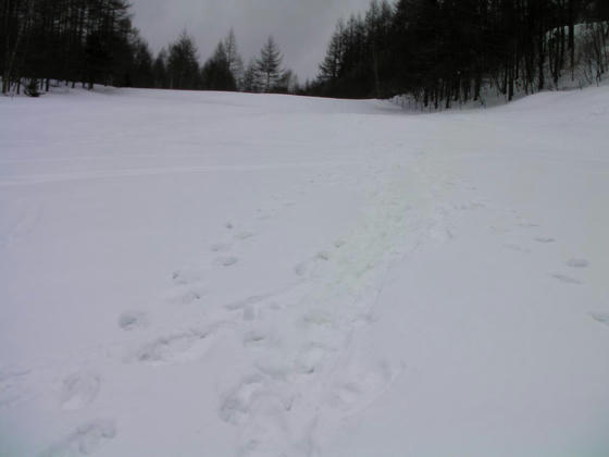 1119　ほぼ半分登った地点から上方向。この先踏み跡が減ってしまいキックステップで登りました