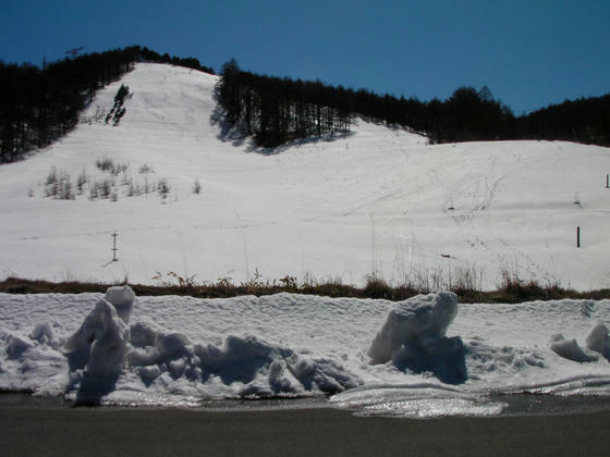 1413　今年は豊富な残雪があります。滑走跡も一杯あります