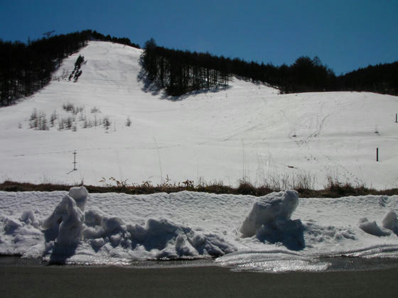 1413 今年は豊富な残雪があります。滑走跡も一杯あります