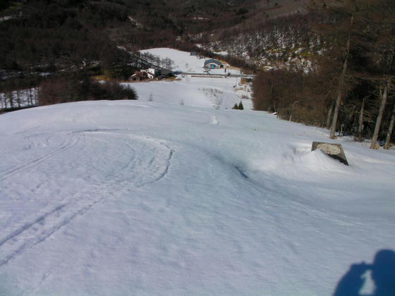 1459 Aコース(仮称)