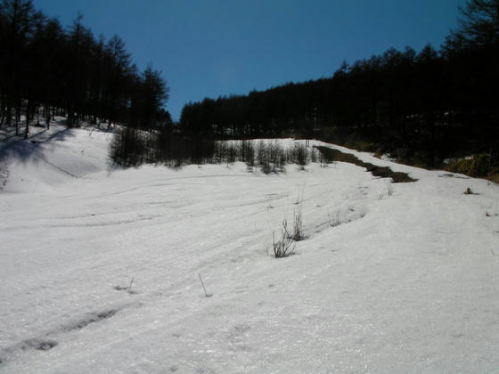 1425　一番楽そうな右の登山道を進みます