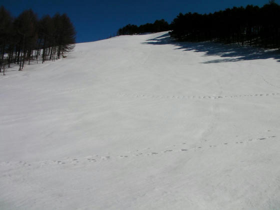 1430 左に目をやれば面ツルっぽいCコース(仮称)が!いかにも美味そうw