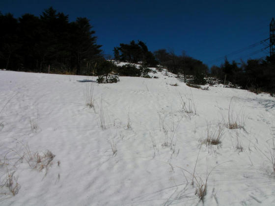 1439 あとちょっとで山頂へ