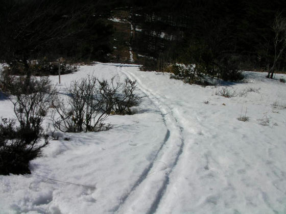 1455　この幅しかないのでプルークで下山しました