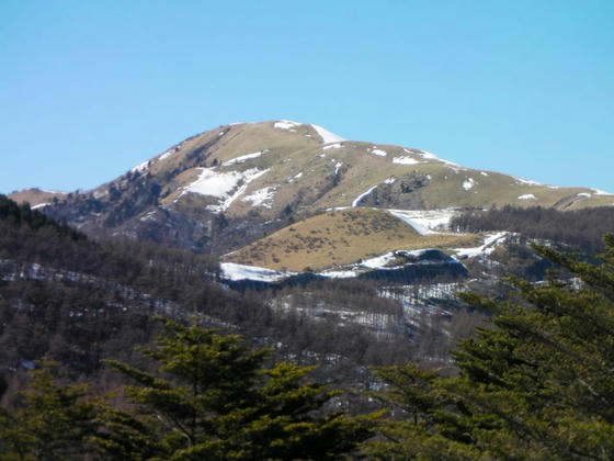 1446　三峰山。見事に南斜面は融雪