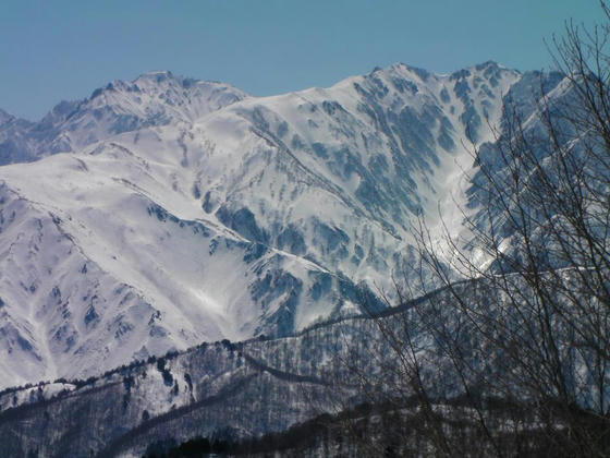 1316　五竜岳(左)と唐松岳