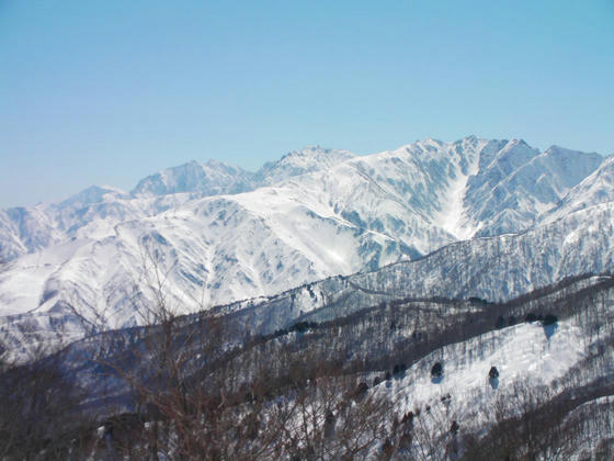 1320　左から爺ヶ岳、鹿島槍ヶ岳、五竜岳、唐松岳