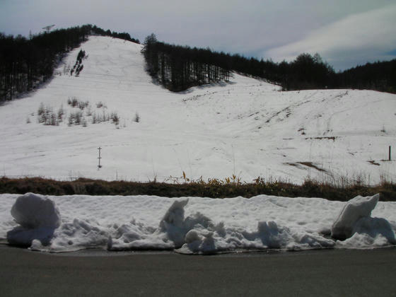 1326　ゲレンでも一気に融雪し地肌が見えてきました