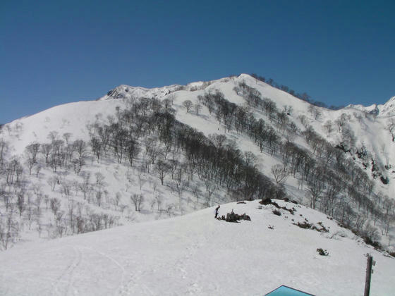 1033　五竜岳への登山道。小遠見、大遠見辺りまでは登ってみたいなぁ・・・