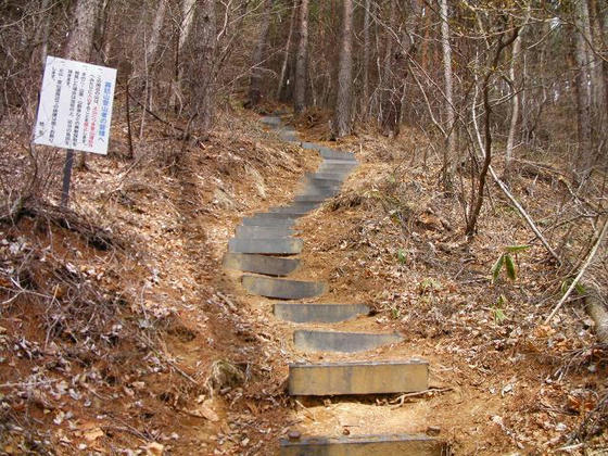 1052 いきなり擬似階段の急登ですorz