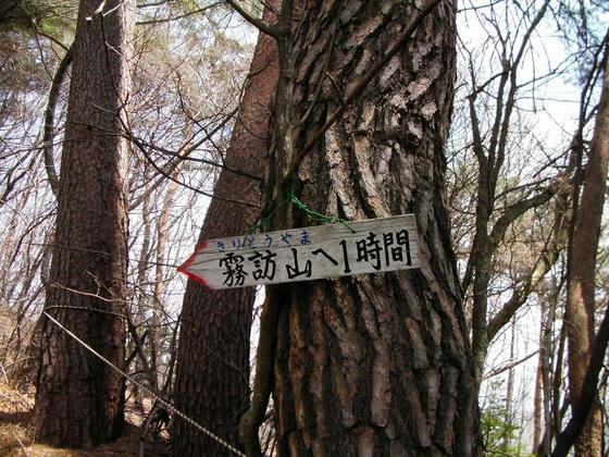 1102 残り時間表示の案内板が10分毎に設置されていました。時間は個々人で違うので、距離表示の方がありがたいかも?