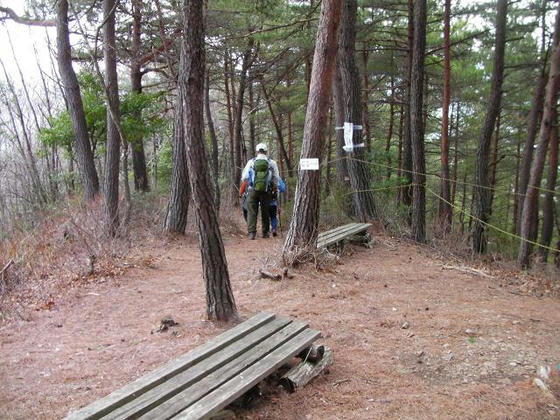 1119　休んでいると男女3人のPTさんが降りてきたのでしばし歓談。さて登りましょう