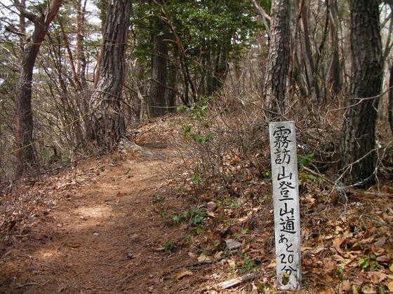 1128　残り20分。30分地点から20分地点はきつい急登区間でした。このルート最大の難所？