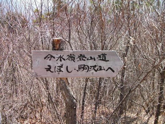 1204　西側には分水嶺を辿る登山道が続いていました。興味津々