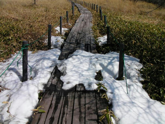 1410　木道には雪は有りませんでしたが、ここ一箇所だけ残っていました