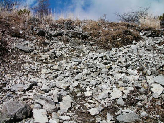 1431　山頂直下のガレ場。融雪後で地盤が緩く、浮石注意でした