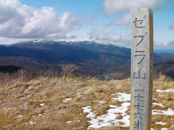 1435　男女倉山山頂1776m到達。しかし山頂碑は「ゼブラ山」でした