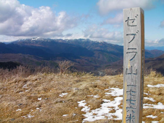 1435 男女倉山山頂1776m到達。しかし山頂碑は「ゼブラ山」でした