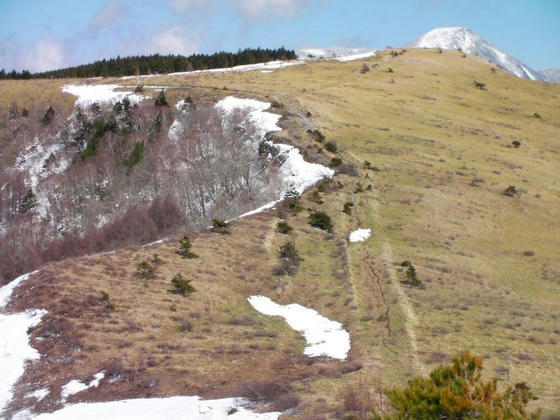 1436　蓼科山と山彦谷の北の耳と分水嶺