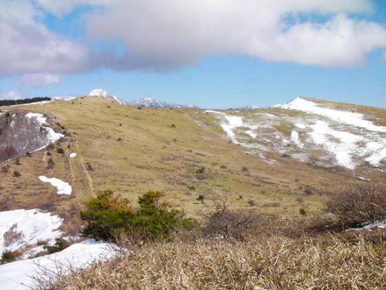 1436　山彦谷の両耳と北八ヶ岳