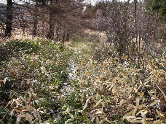 1513 踏み跡不明瞭&昨日の残雪