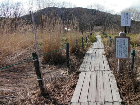 1520 キャンプ場跡地から木道が始まります
