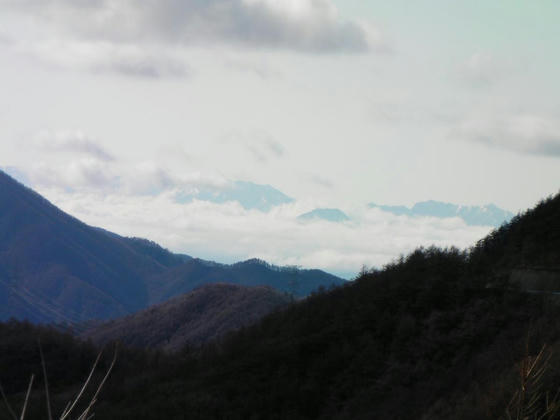 1544　八島湿原Pから　有明山かな思った山