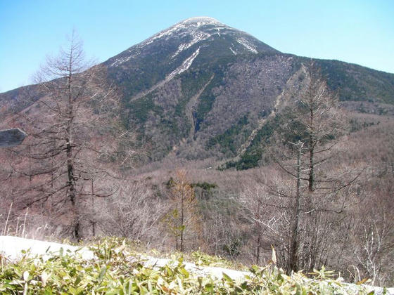 953 特大の蓼科山