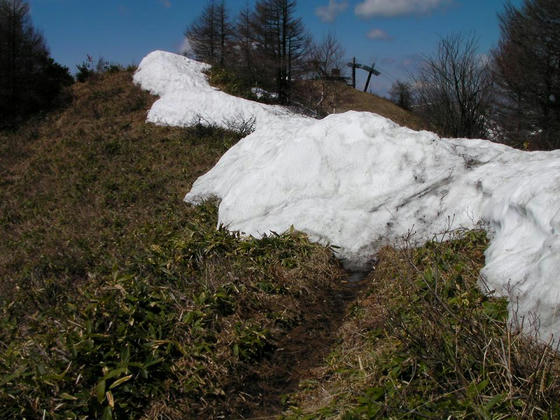 1025　しらかば2in1のキャニオンコース上の稜線上の残雪は1m以上ありました