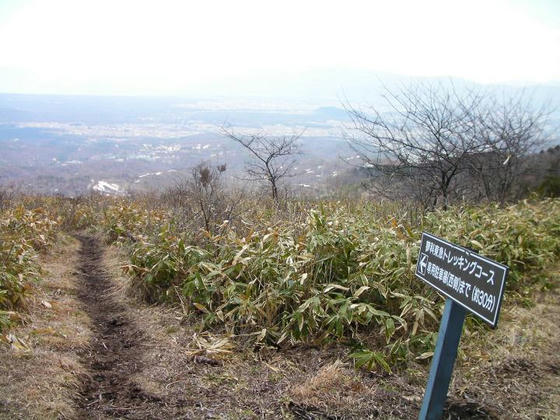 1134　F地点の分岐。ここまでは気持ちの良い尾根歩きでした