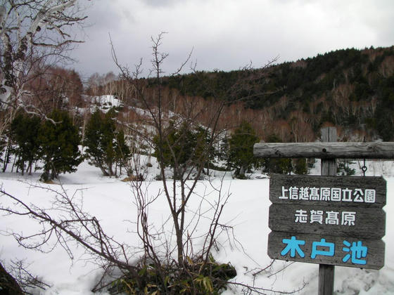 1452　雪に覆われた木戸池