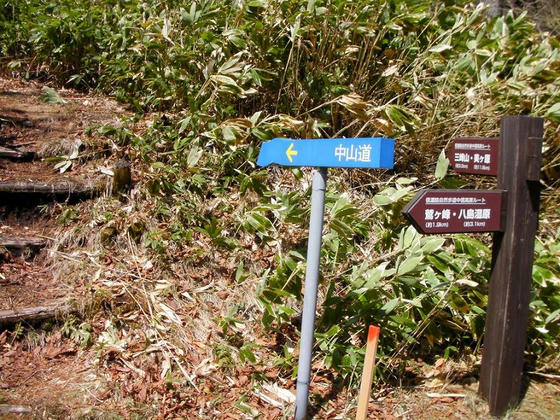1006 いつもゲレンデ内を歩くので、今日は中仙道を古峠まで歩いてみます