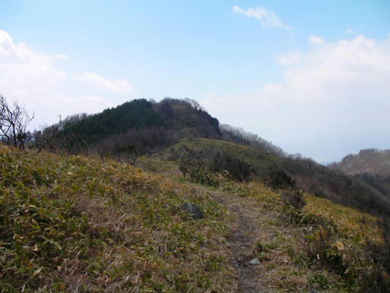 1045　北峰を下ると樹林帯が終わり草地の広がったオープンバーンな稜線歩きになります(北峰を振り返った図)