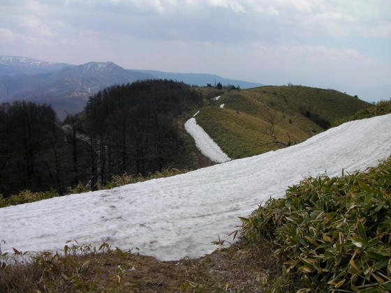 1059　登りルートで唯一雪上を歩いた地点。目測150cmくらいの残雪がありました