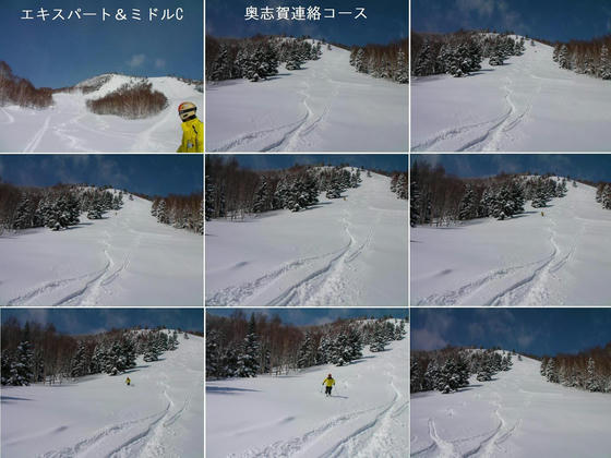 新雪三昧？