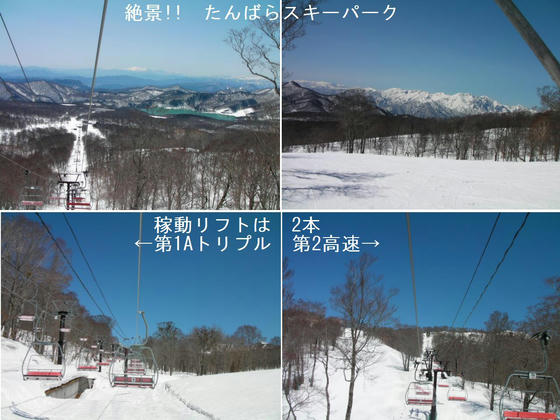 4分割画像